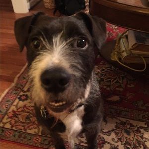 Meet your Posher, Robyn